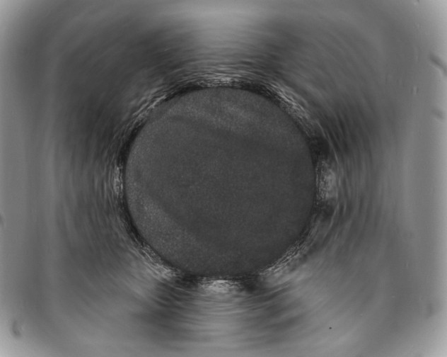 X0000096390467200802141459