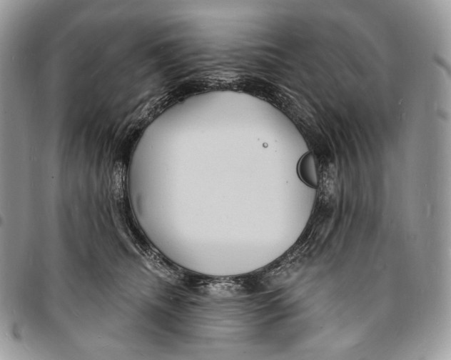 X0000096390468200802141459