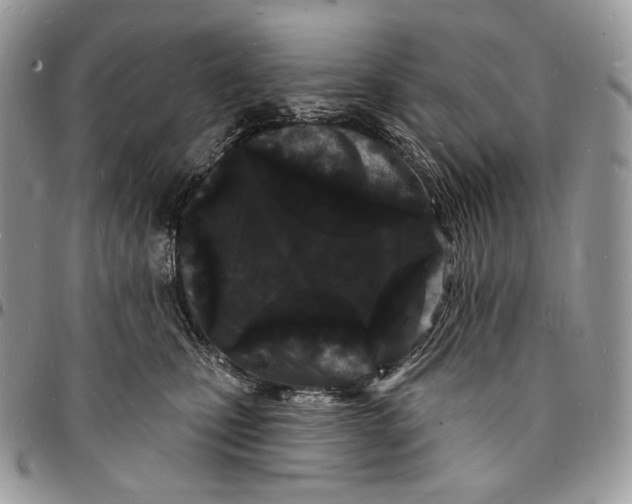 X0000096390471200802141459