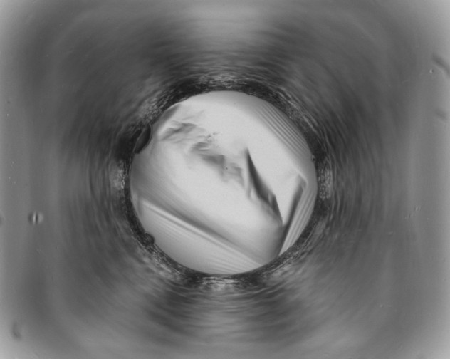 X0000096390472200802141459