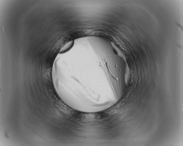 X0000096390473200802141459