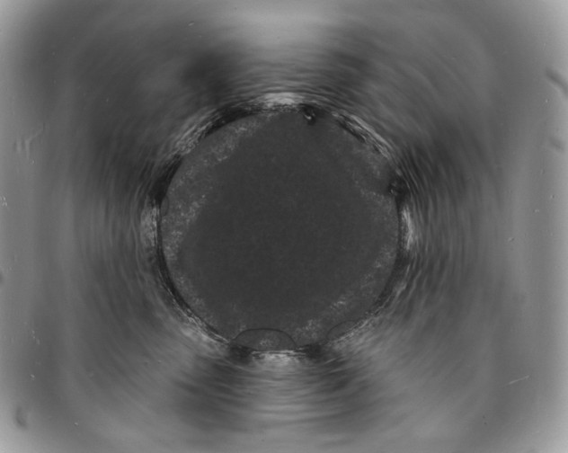 X0000096390475200802141459