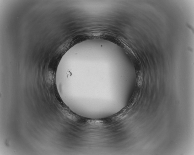 X0000096390476200802141459