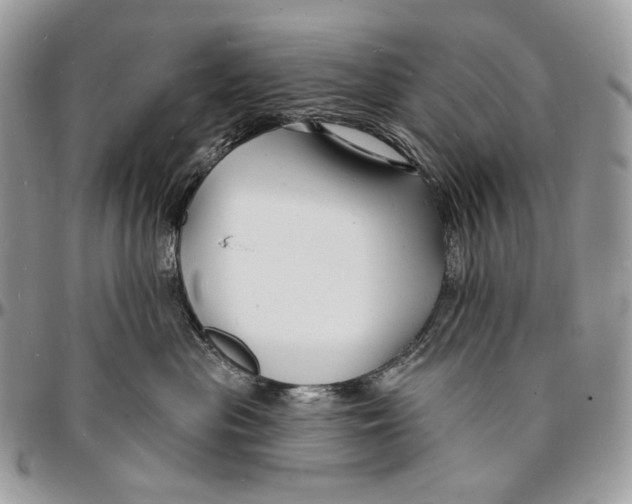 X0000096390477200802141459