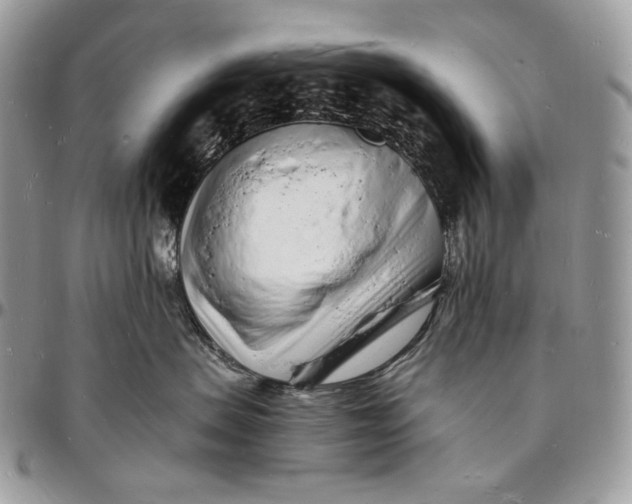 X0000096390479200802141459
