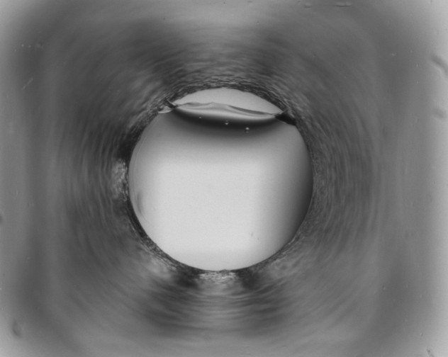 X0000096390480200802141459