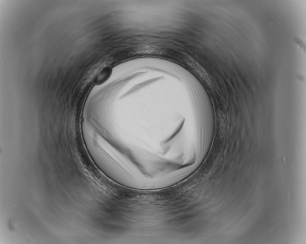 X0000096390482200802141458
