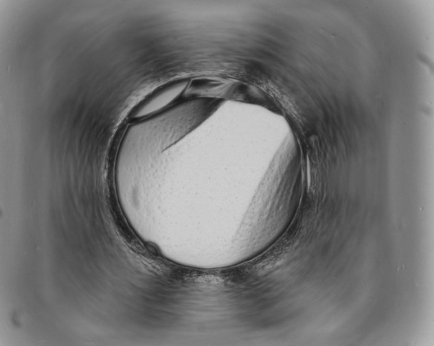 X0000096390483200802141458