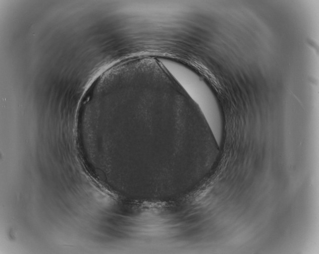 X0000096390484200802141458