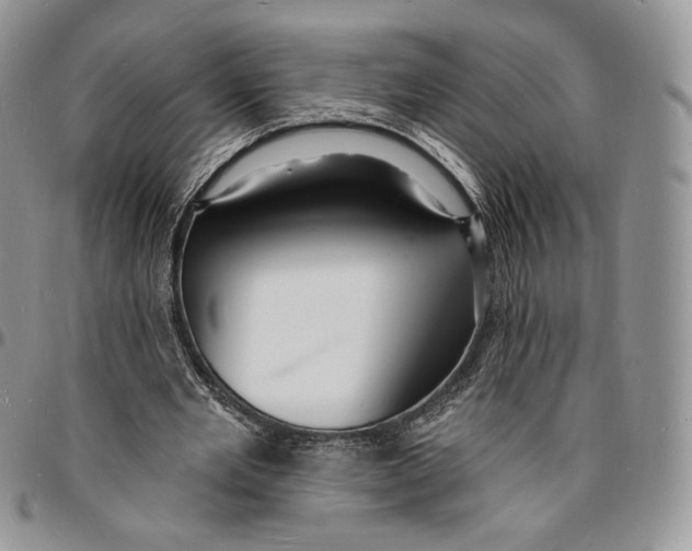 X0000096390485200802141458