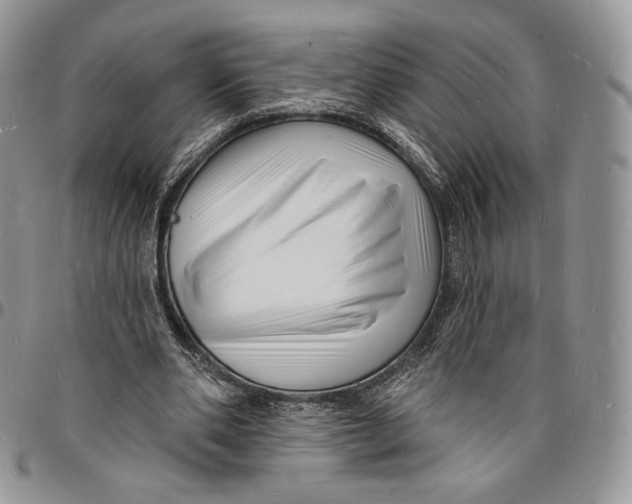 X0000096390486200802141458