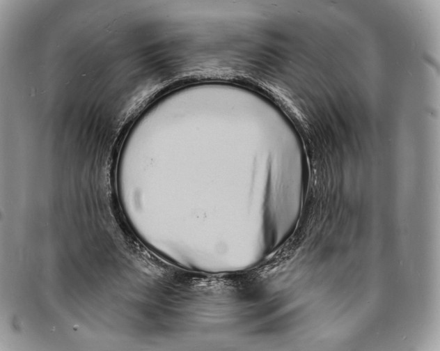 X0000096390487200802141458