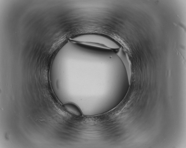 X0000096390489200802141458