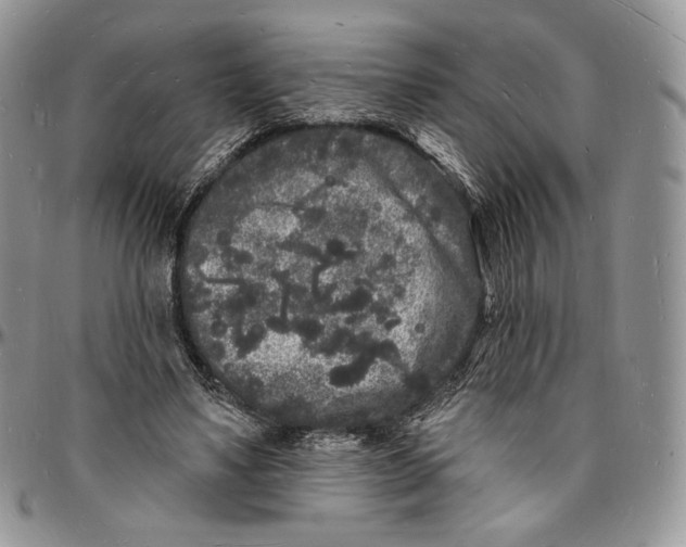 X0000096390491200802141458