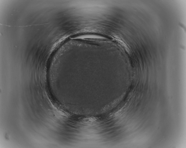 X0000096390492200802141458
