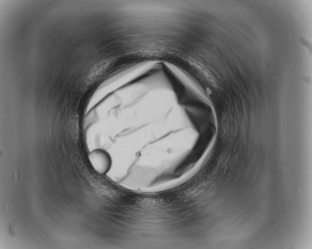 X0000096390494200802141458