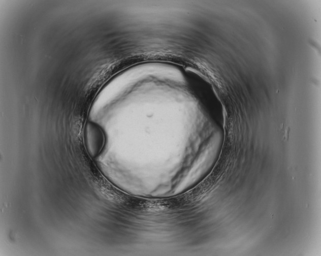 X0000096390495200802141458