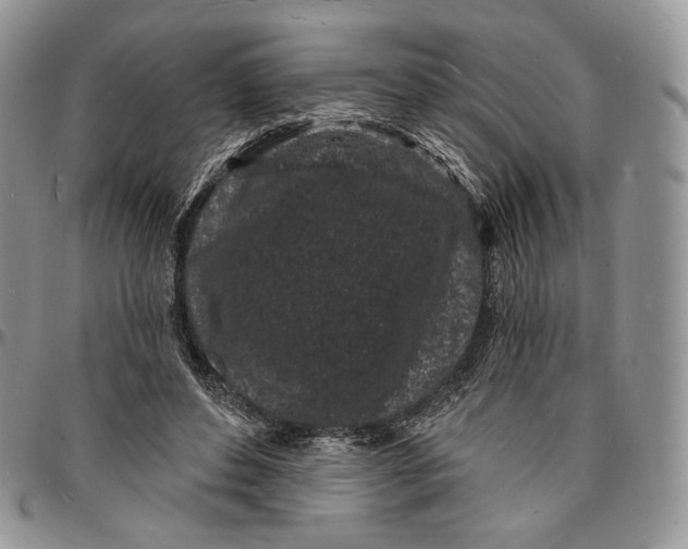 X0000096390496200802141458