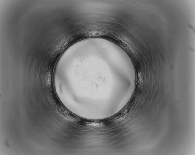 X0000096390499200802141458
