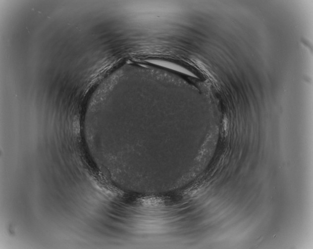X0000096390500200802141458