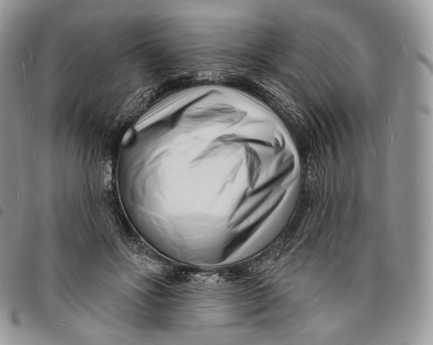 X0000096390502200802141458