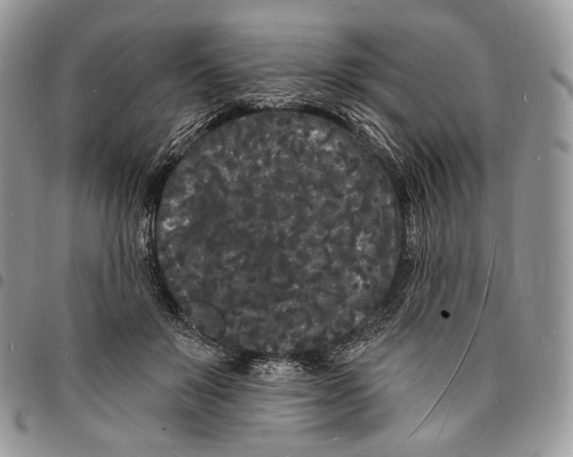X0000096390503200802141458