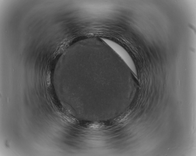 X0000096390504200802141458