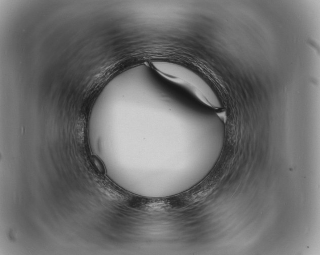 X0000096390505200802141458
