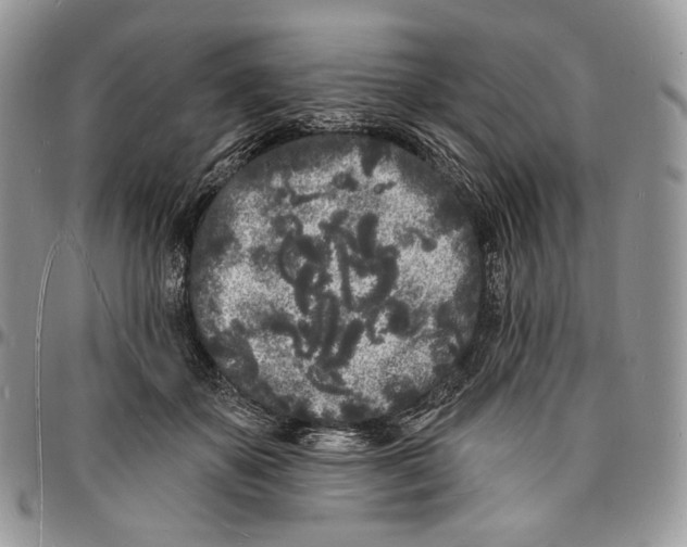X0000096390507200802141458