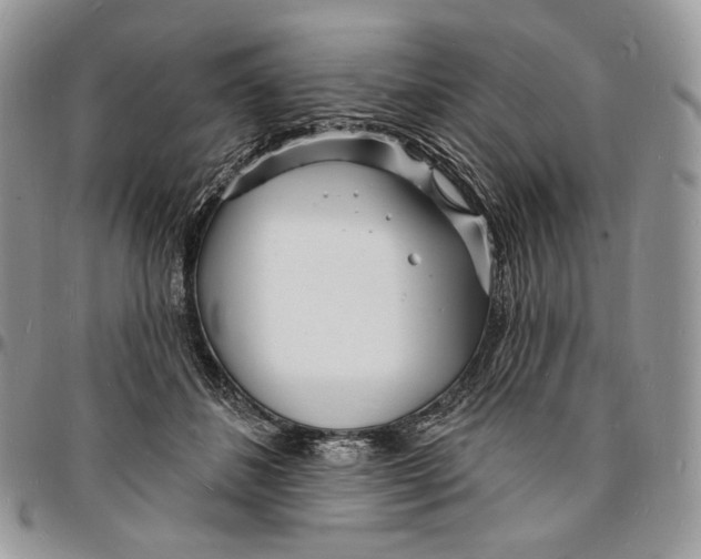 X0000096390508200802141458