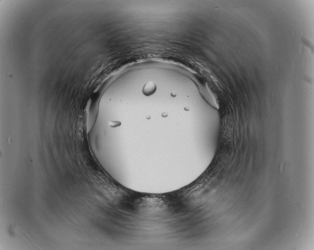 X0000096390509200802141458