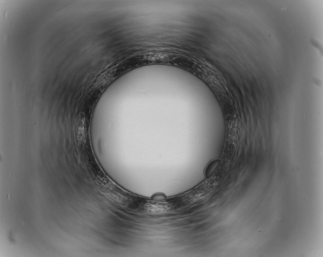 X0000096390510200802141458
