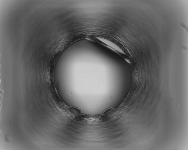 X0000096390512200802141458