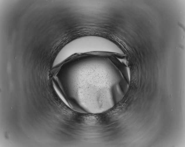 X0000096390513200802141458
