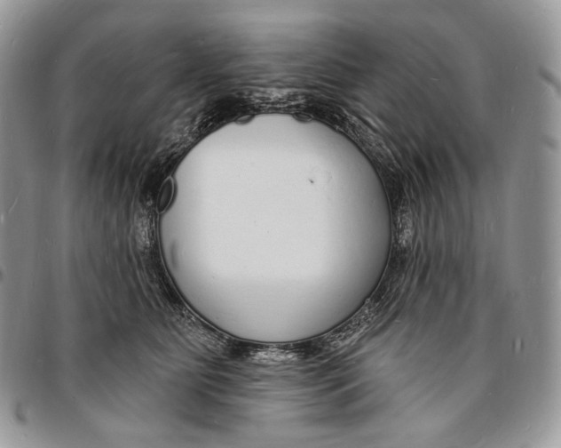 X0000096390515200802141458