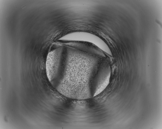 X0000096390517200802141458