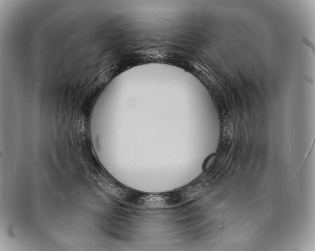 X0000096390518200802141458