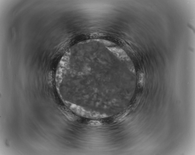 X0000096390519200802141458