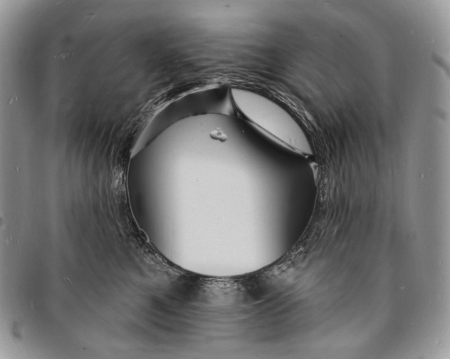 X0000096390521200802141458