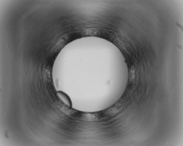 X0000096390522200802141458