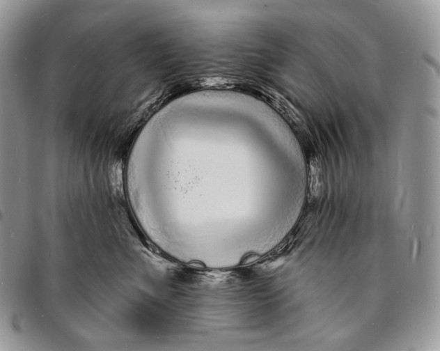 X0000096390523200802141458