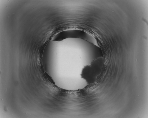 X0000096390524200802141458