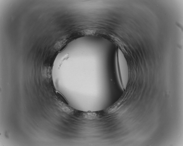 X0000096390525200802141458
