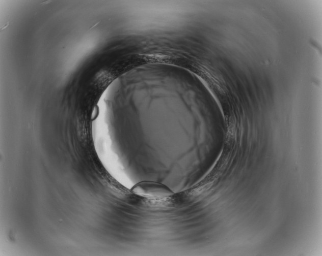 X0000096390526200802141458