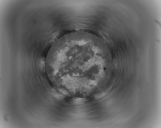 X0000096390527200802141458