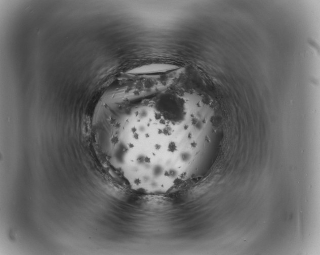 X0000096390528200802141458