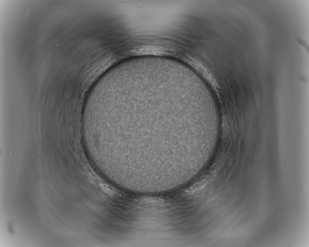 X0000096390529200802141457