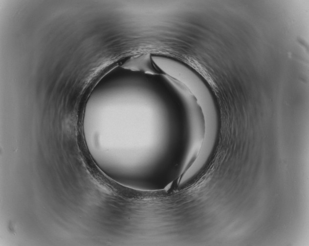 X0000096390530200802141457
