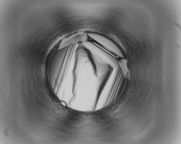 X0000096390531200802141457