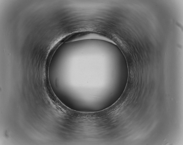 X0000096390532200802141457